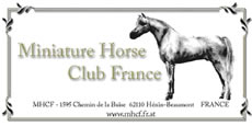 Miniature Horse Club France